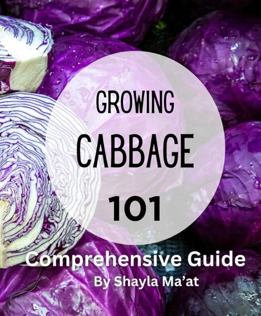 Growing Cabbage 101: A Comprehensive Guide