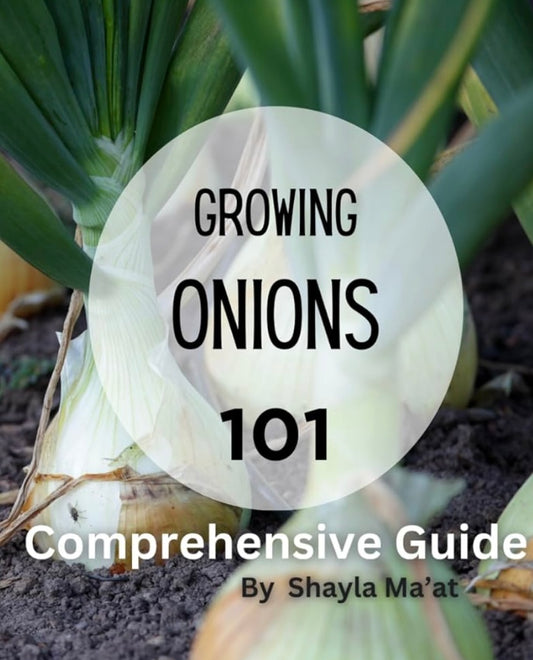 Onion 101: Tips for Growing Healthy and Tasty Onions